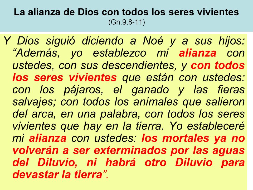 La alianza de Dios con todos los seres vivientes (Gn.9,8-11)