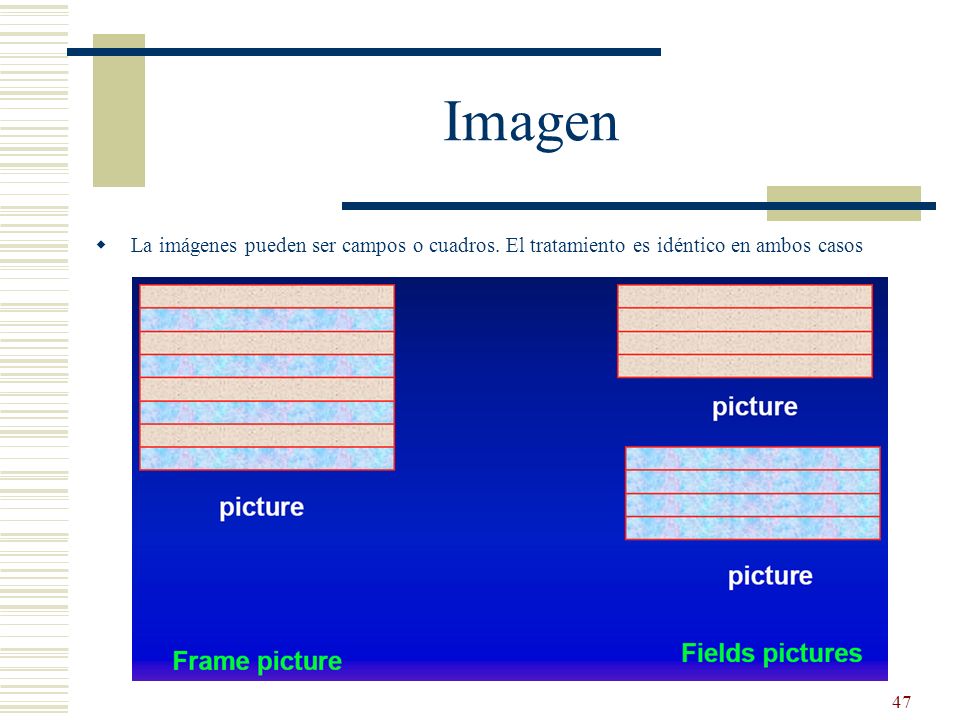 Imagen La imágenes pueden ser campos o cuadros. El tratamiento es idéntico en ambos casos