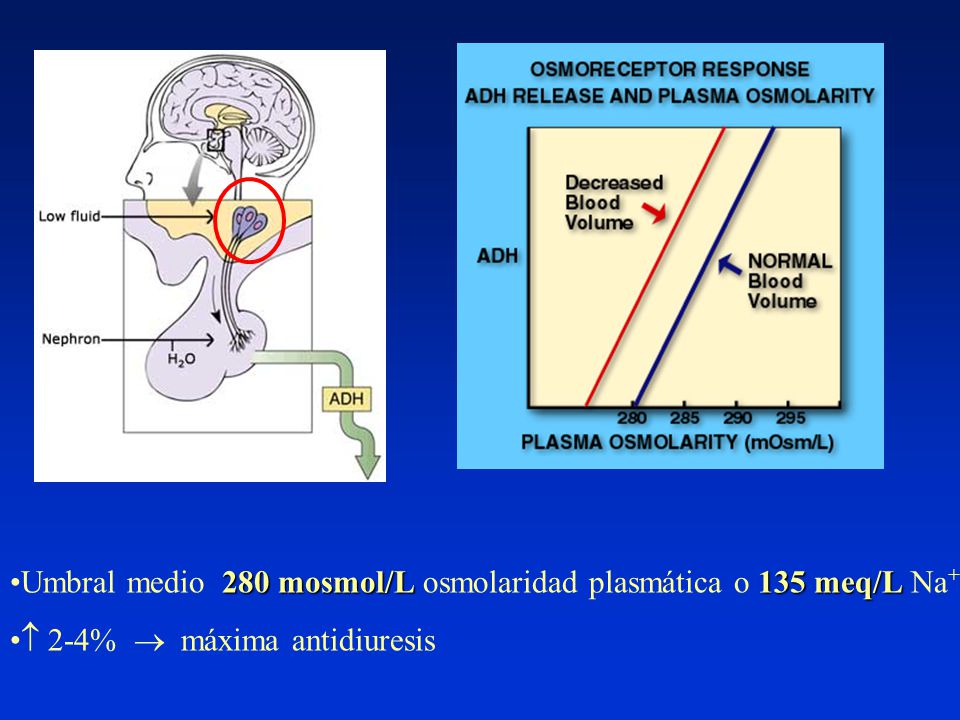 Umbral medio 280 mosmol/L osmolaridad plasmática o 135 meq/L Na+