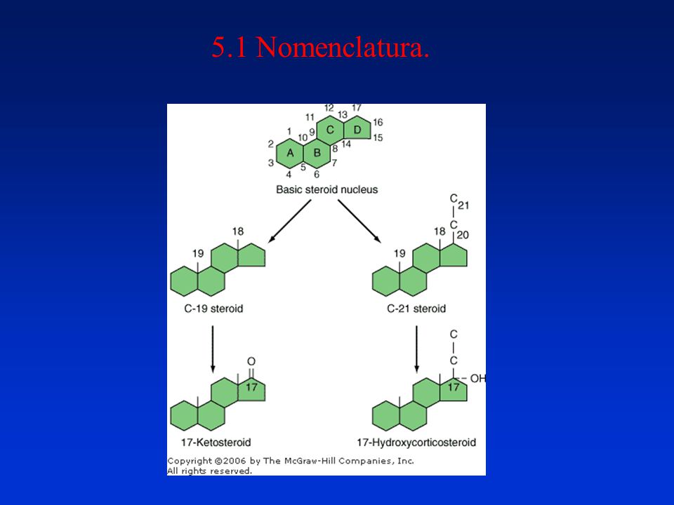 5.1 Nomenclatura. The basic structure of steroids is built upon a five-ring nucleus (Fig ).