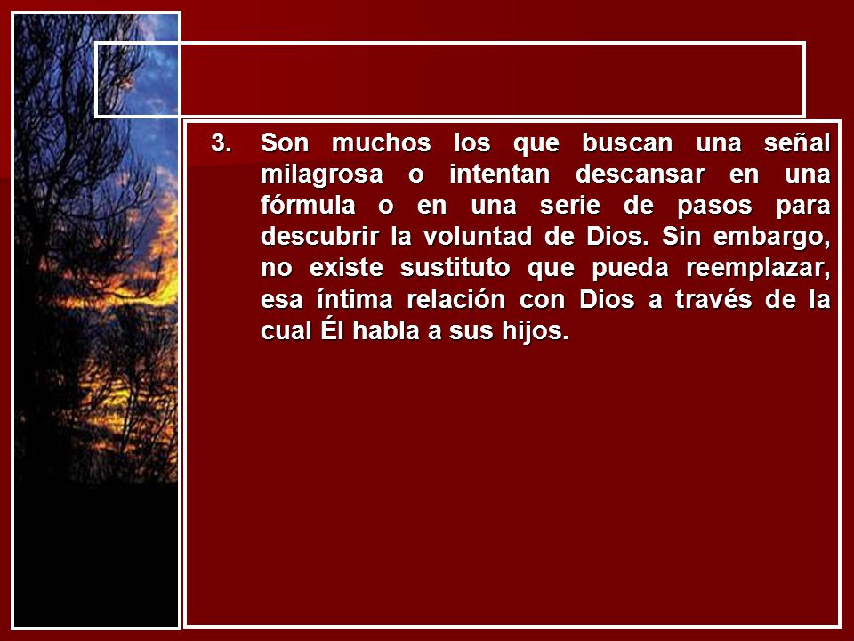 Son muchos los que buscan una señal milagrosa o intentan descansar en una fórmula o en una serie de pasos para descubrir la voluntad de Dios.