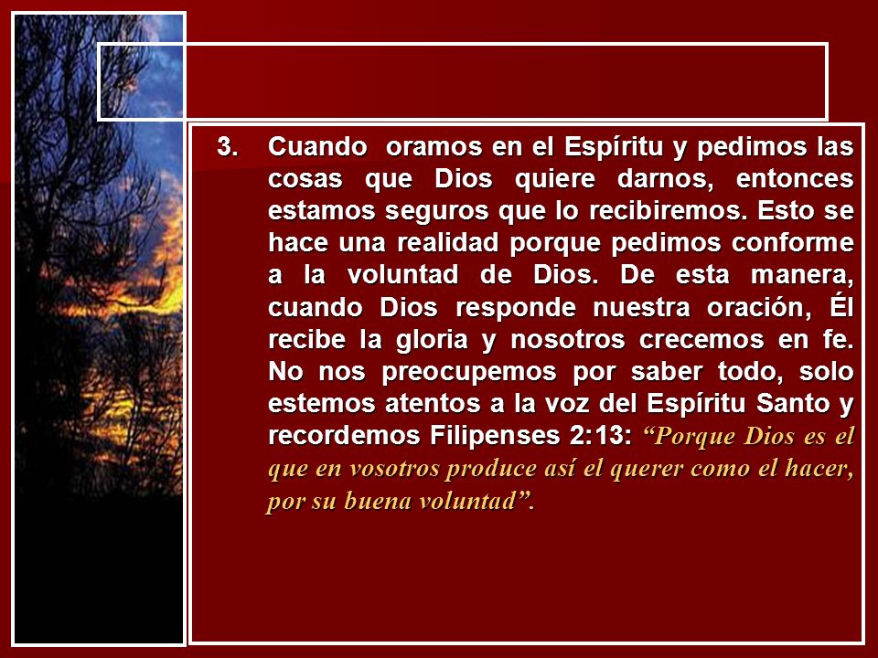 Cuando oramos en el Espíritu y pedimos las cosas que Dios quiere darnos, entonces estamos seguros que lo recibiremos.