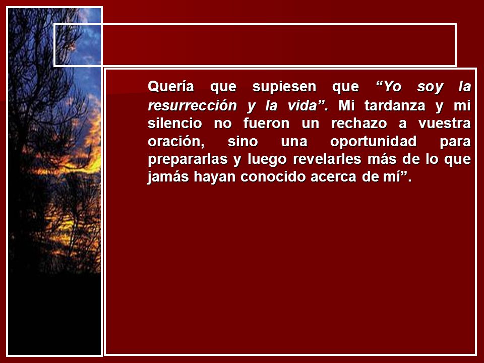 Quería que supiesen que Yo soy la resurrección y la vida
