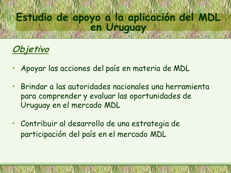Estudio de apoyo a la aplicación del MDL en Uruguay