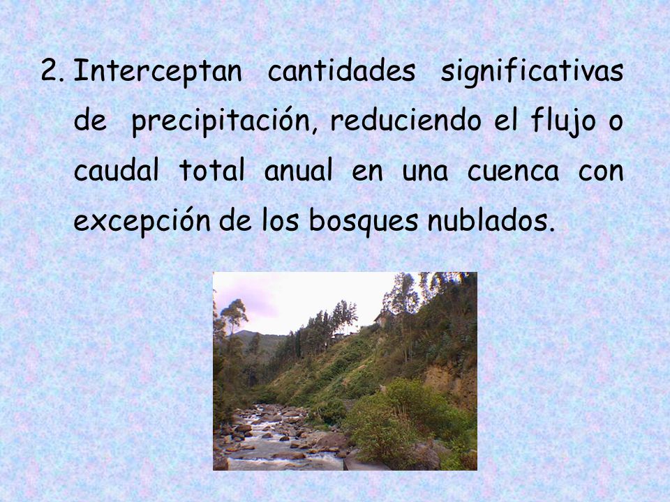 Interceptan cantidades significativas de precipitación, reduciendo el flujo o caudal total anual en una cuenca con excepción de los bosques nublados.
