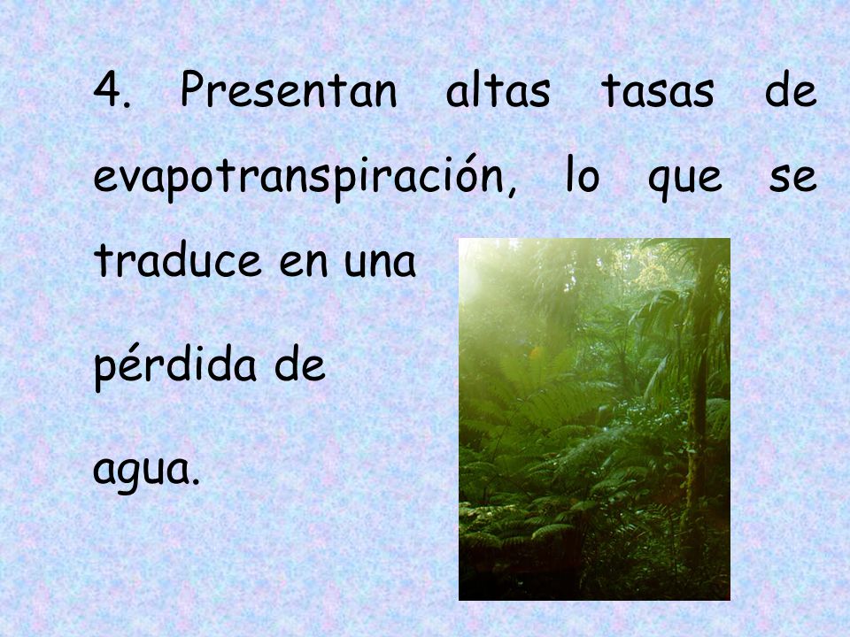 4. Presentan altas tasas de evapotranspiración, lo que se traduce en una