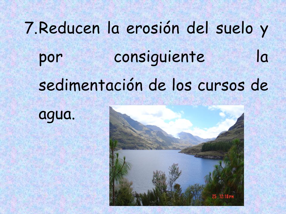Reducen la erosión del suelo y por consiguiente la sedimentación de los cursos de agua.