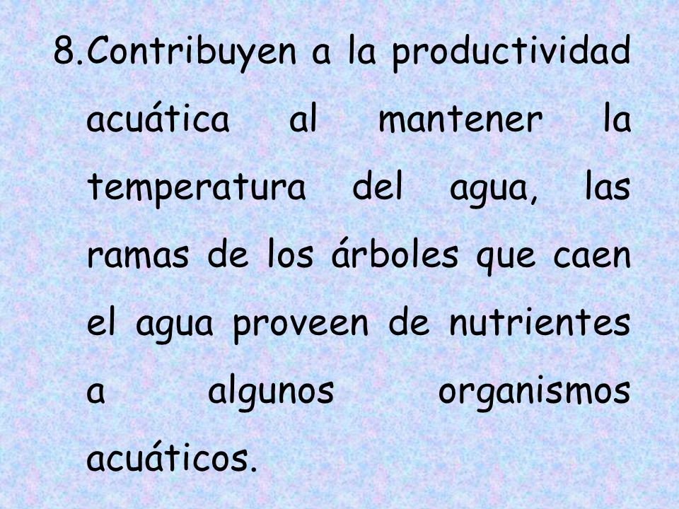 Contribuyen a la productividad acuática al mantener la temperatura del agua, las ramas de los árboles que caen el agua proveen de nutrientes a algunos organismos acuáticos.