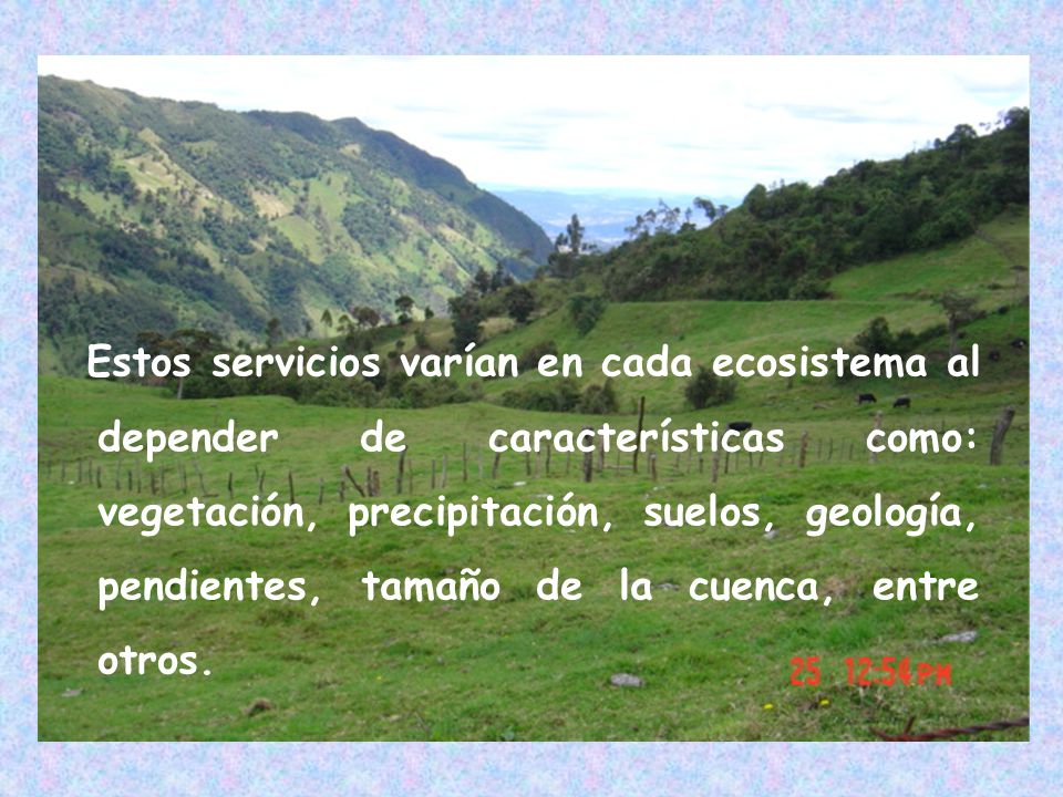 Estos servicios varían en cada ecosistema al depender de características como: vegetación, precipitación, suelos, geología, pendientes, tamaño de la cuenca, entre otros.