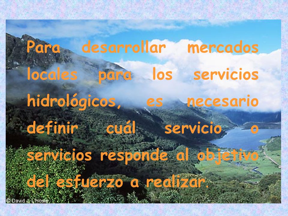 Para desarrollar mercados locales para los servicios hidrológicos, es necesario definir cuál servicio o servicios responde al objetivo del esfuerzo a realizar.