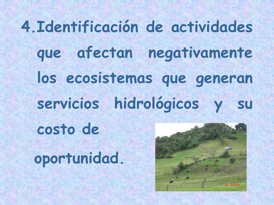 4.Identificación de actividades que afectan negativamente los ecosistemas que generan servicios hidrológicos y su costo de