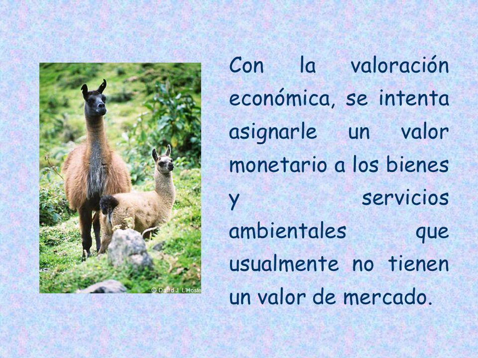 Con la valoración económica, se intenta asignarle un valor monetario a los bienes y servicios ambientales que usualmente no tienen un valor de mercado.