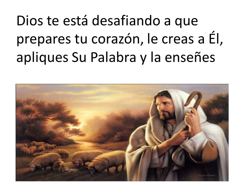 Dios te está desafiando a que prepares tu corazón, le creas a Él, apliques Su Palabra y la enseñes
