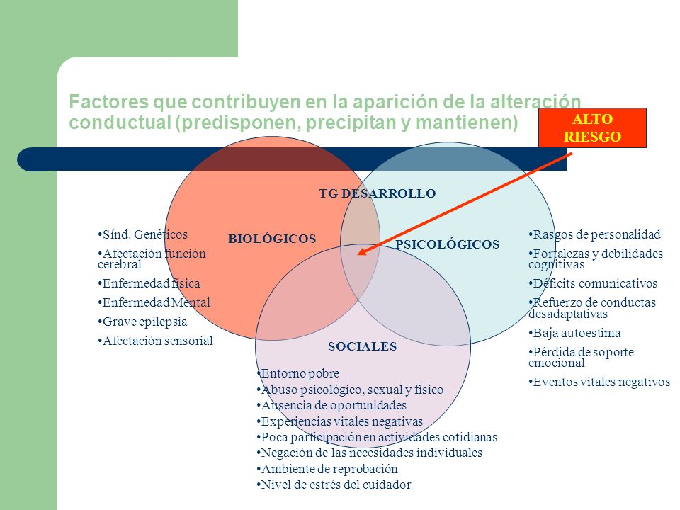 Factores que contribuyen en la aparición de la alteración conductual (predisponen, precipitan y mantienen)
