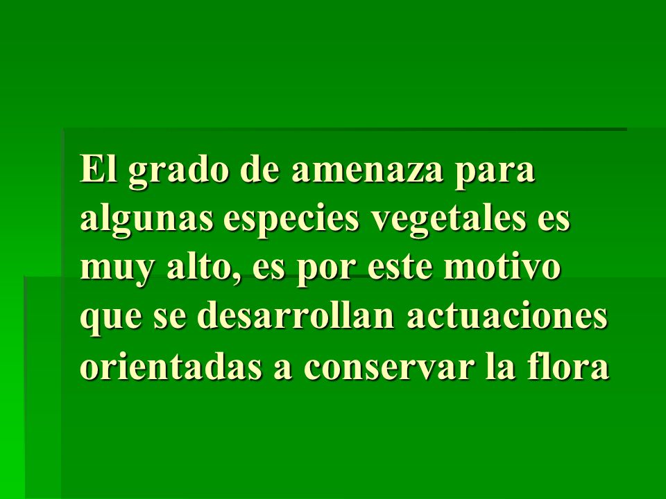 El grado de amenaza para algunas especies vegetales es muy alto, es por este motivo que se desarrollan actuaciones orientadas a conservar la flora