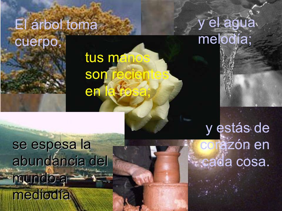 y estás de corazón en cada cosa.