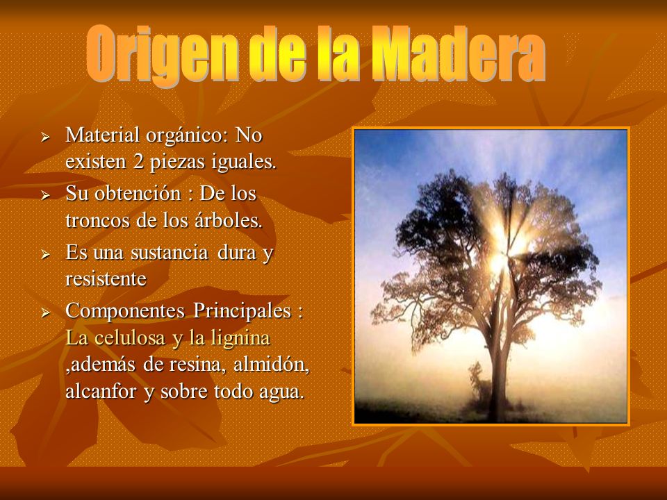 Origen de la Madera Material orgánico: No existen 2 piezas iguales.