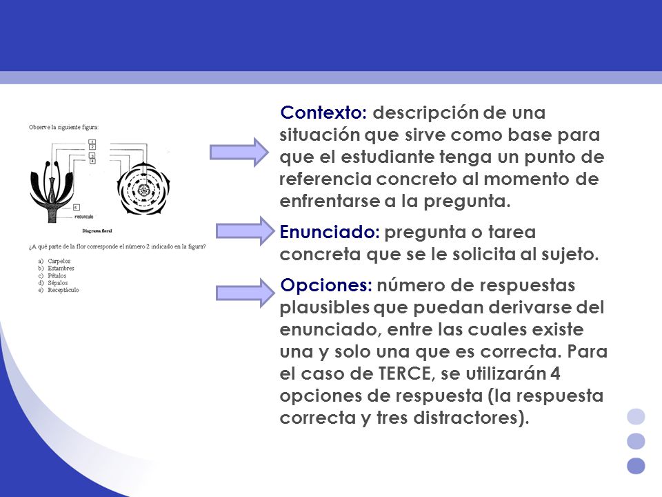Contexto: descripción de una situación que sirve como base para que el estudiante tenga un punto de referencia concreto al momento de enfrentarse a la pregunta.