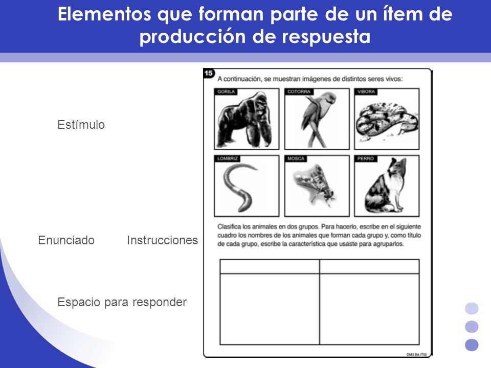 Elementos que forman parte de un ítem de producción de respuesta