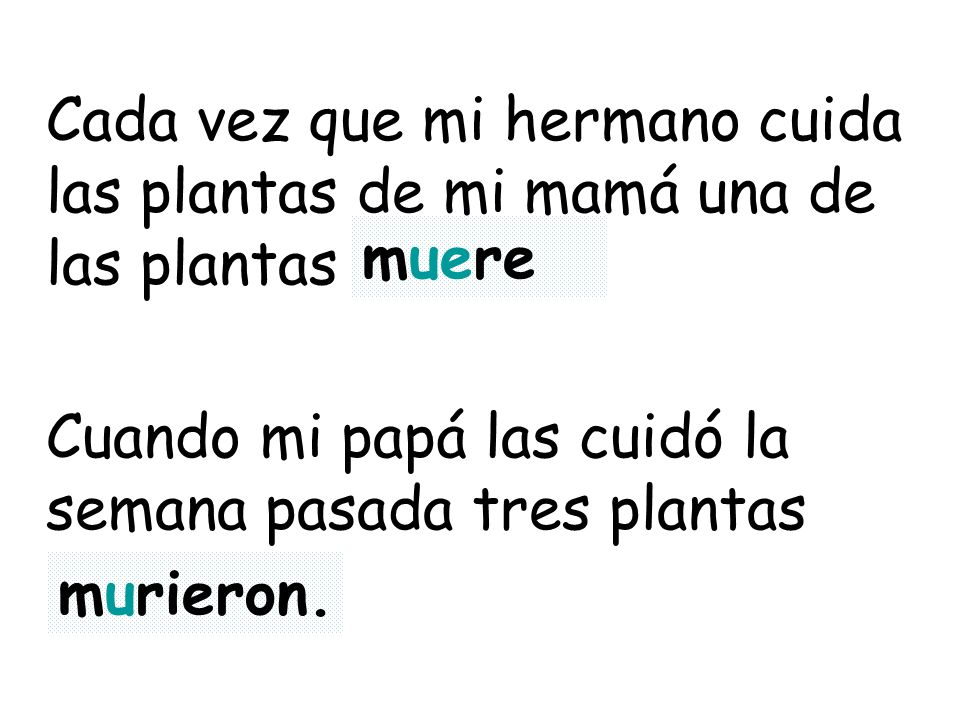 Cada vez que mi hermano cuida las plantas de mi mamá una de las plantas