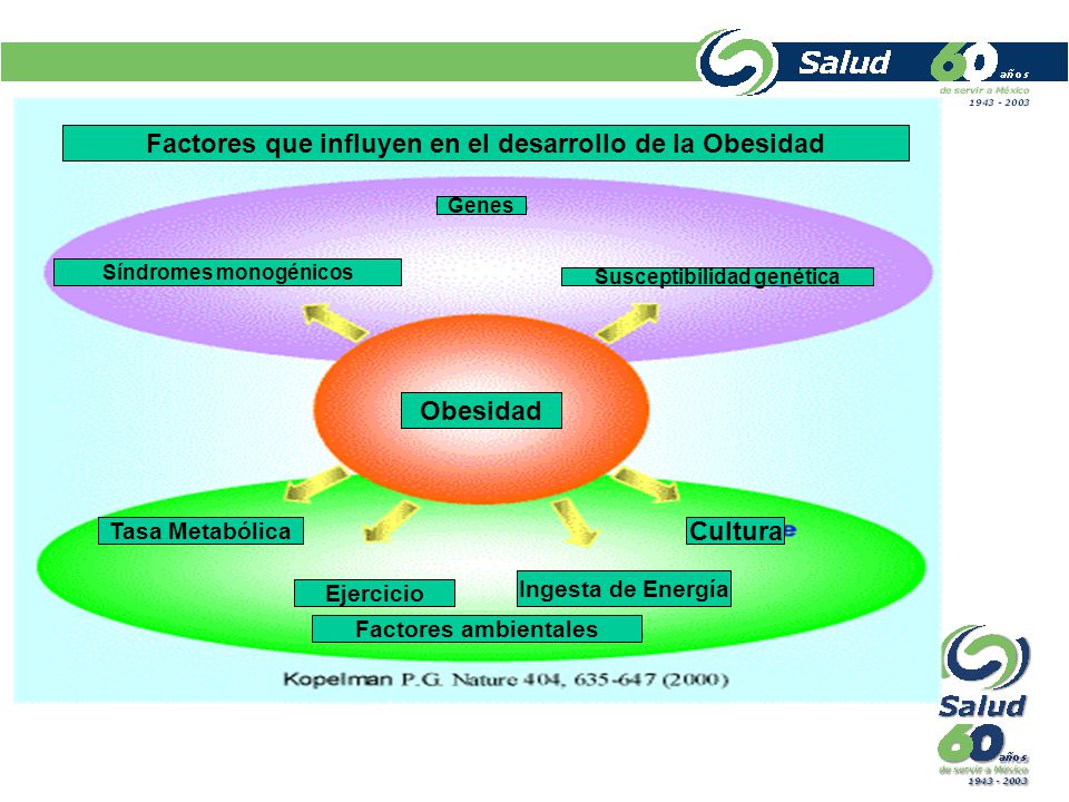 Factores que influyen en el desarrollo de la Obesidad Obesidad Cultura