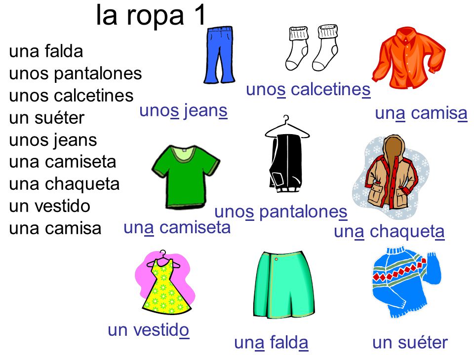 la ropa 1 una falda unos pantalones unos calcetines un suéter