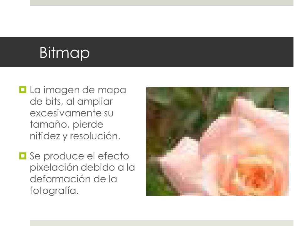 Bitmap La imagen de mapa de bits, al ampliar excesivamente su tamaño, pierde nitidez y resolución.