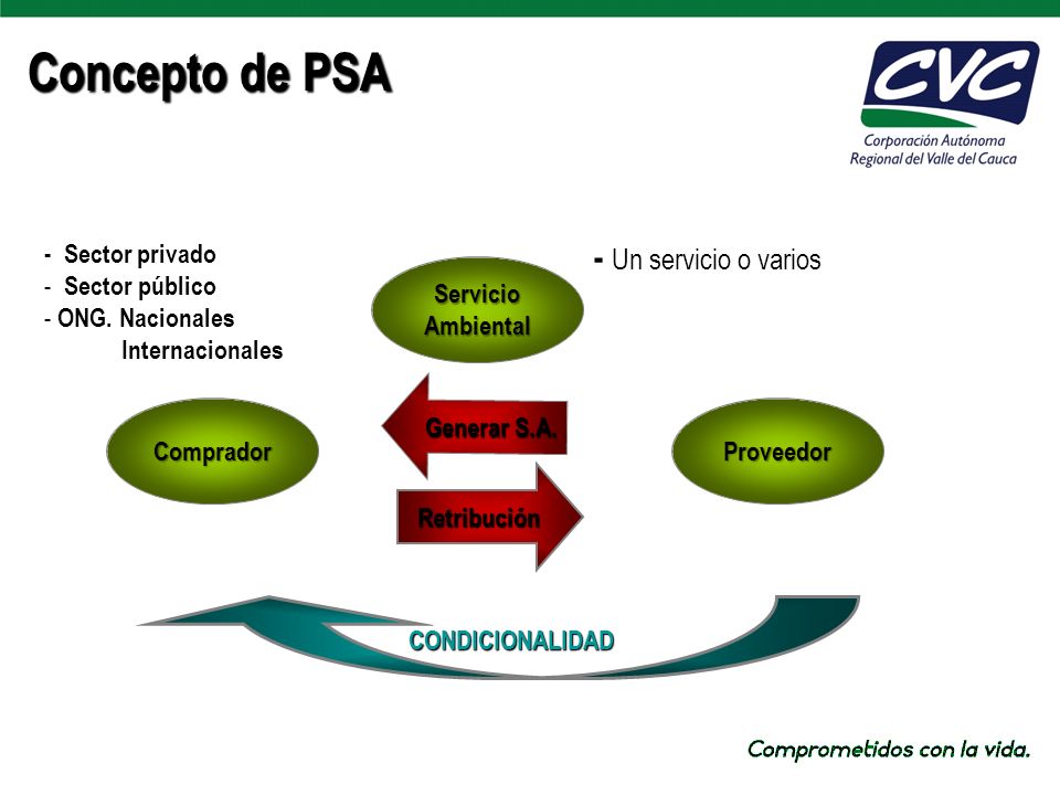 Concepto de PSA - Un servicio o varios - Sector privado Sector público