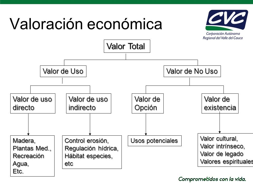 Valoración económica Valor Total Valor de uso directo indirecto