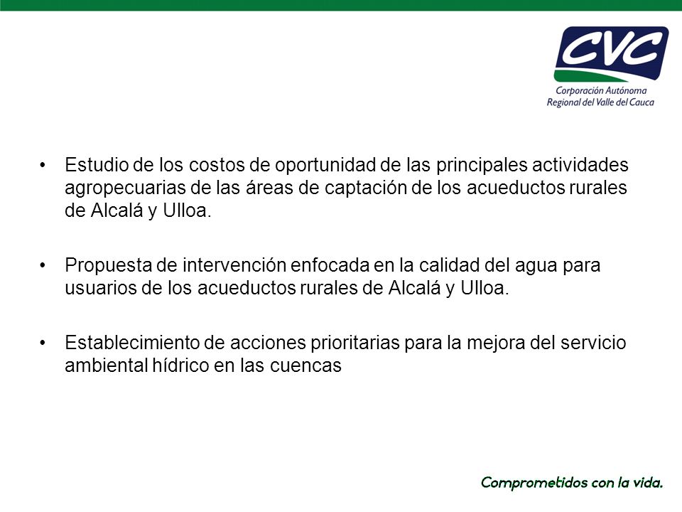 Estudio de los costos de oportunidad de las principales actividades agropecuarias de las áreas de captación de los acueductos rurales de Alcalá y Ulloa.