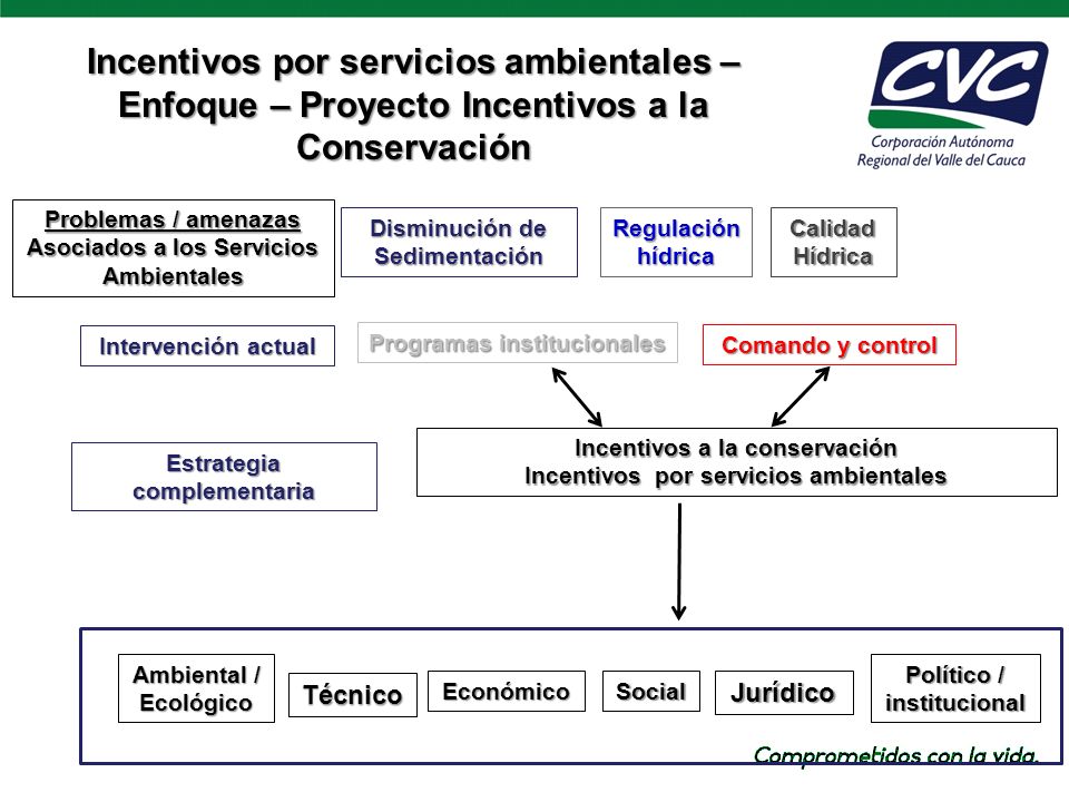 Incentivos por servicios ambientales – Enfoque – Proyecto Incentivos a la Conservación