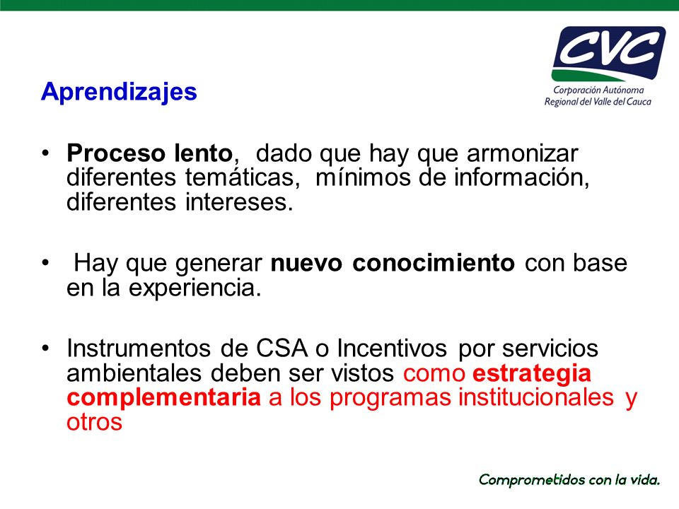Aprendizajes Proceso lento, dado que hay que armonizar diferentes temáticas, mínimos de información, diferentes intereses.