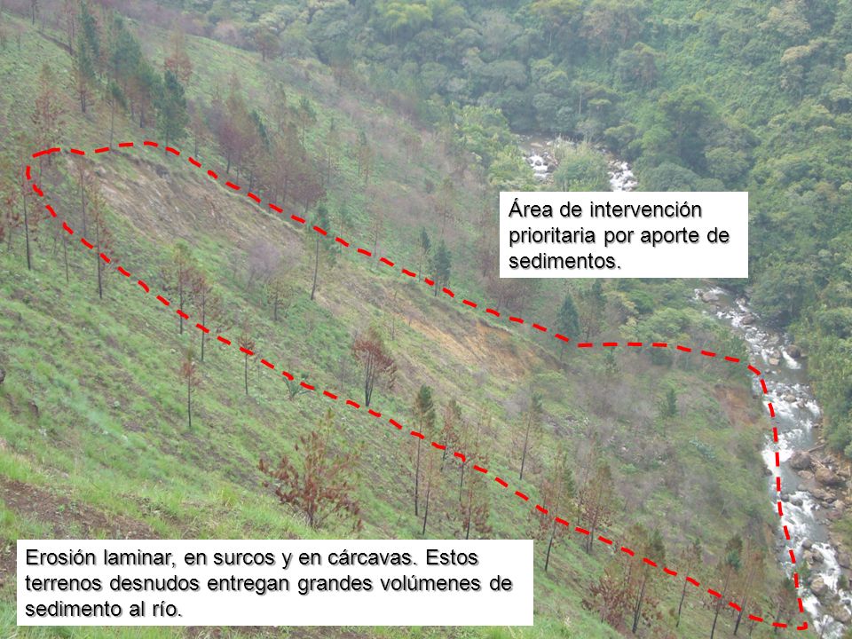 Área de intervención prioritaria por aporte de sedimentos.