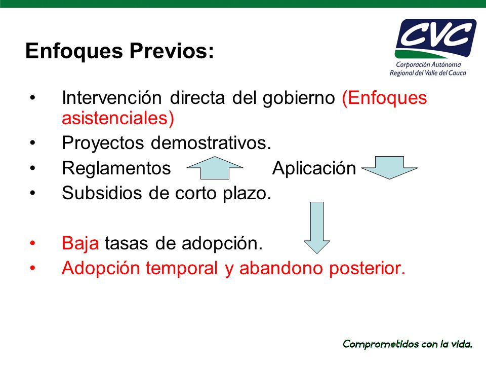 Enfoques Previos: Intervención directa del gobierno (Enfoques asistenciales) Proyectos demostrativos.