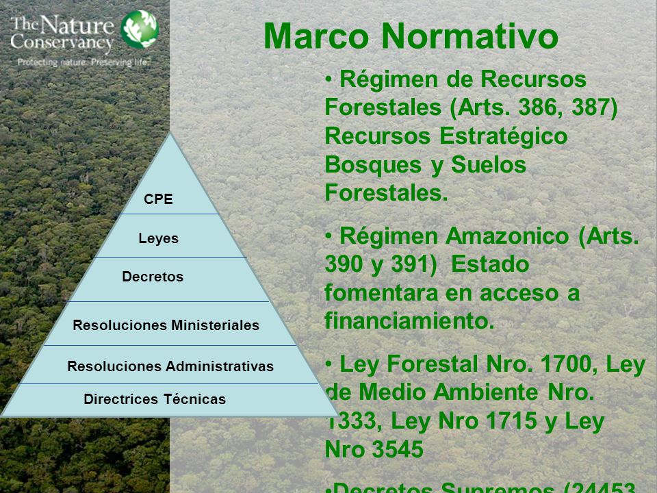 Marco Normativo Régimen de Recursos Forestales (Arts. 386, 387) Recursos Estratégico Bosques y Suelos Forestales.