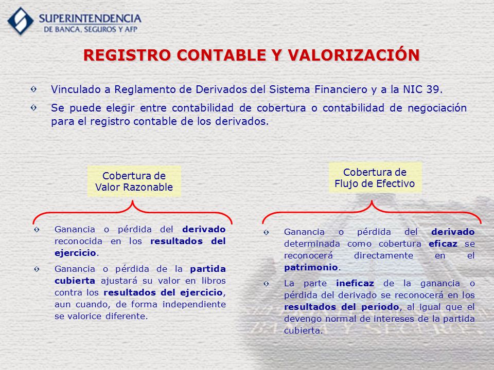 REGISTRO CONTABLE Y VALORIZACIÓN