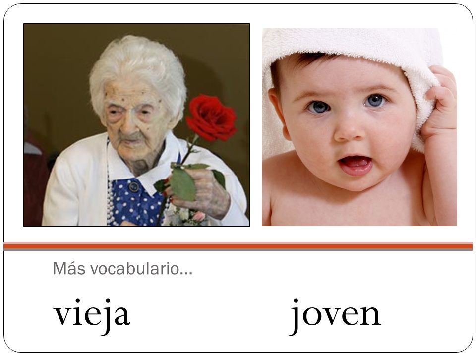 Más vocabulario… vieja joven
