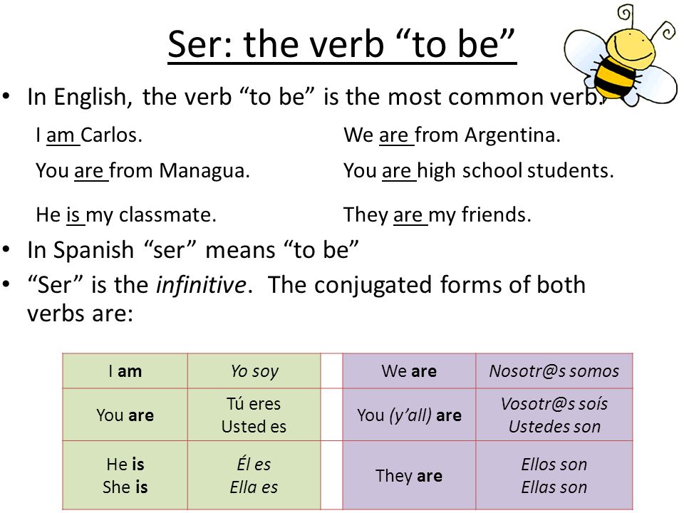 Ser: the verb to be In English, the verb to be is the most common verb. I am Carlos. We are from Argentina.