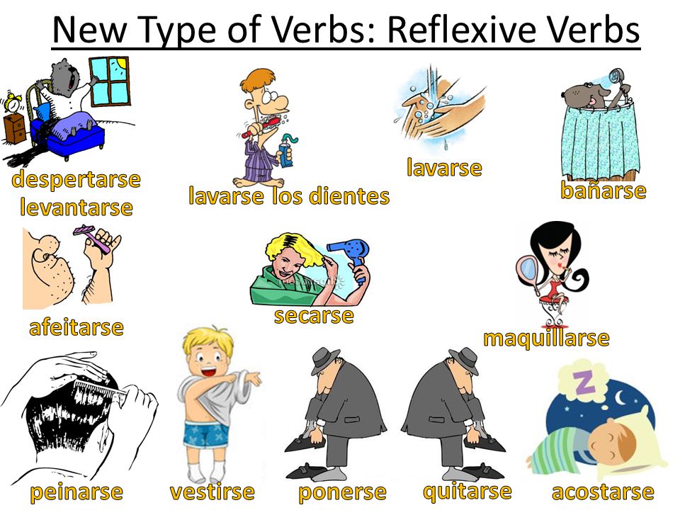New Type of Verbs: Reflexive Verbs
