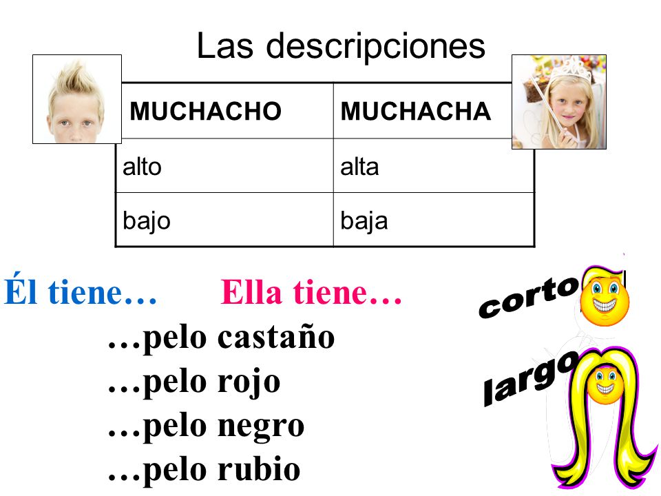 Las descripciones Él tiene… Ella tiene… …pelo castaño …pelo rojo