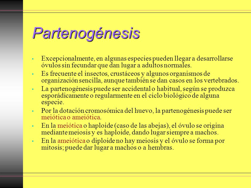 Partenogénesis Excepcionalmente, en algunas especies pueden llegar a desarrollarse óvulos sin fecundar que dan lugar a adultos normales.