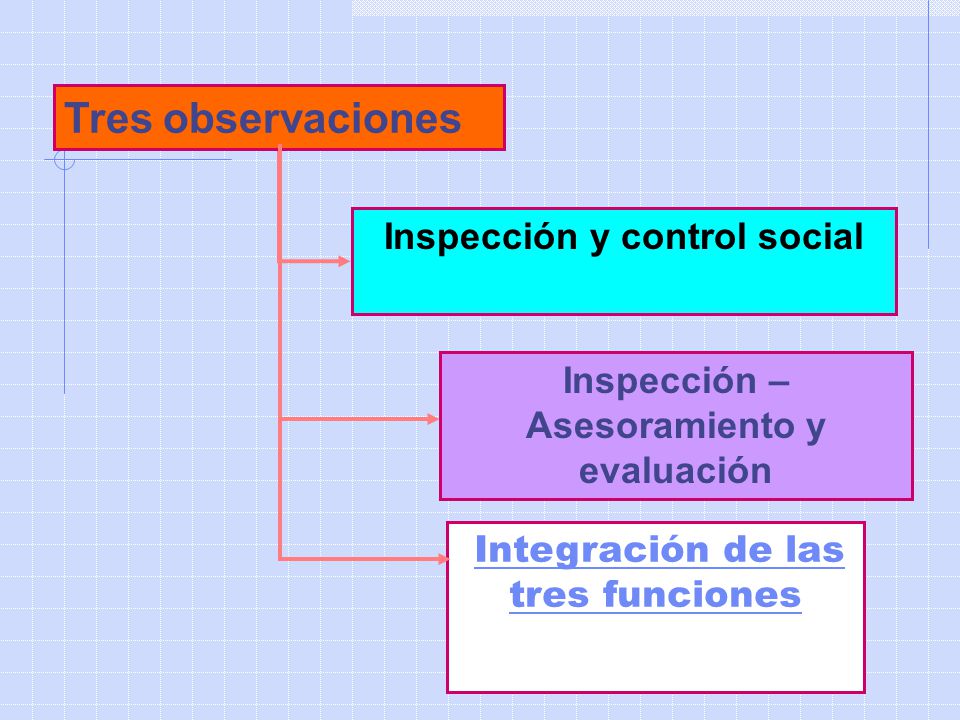 Inspección y control social Inspección – Asesoramiento y evaluación
