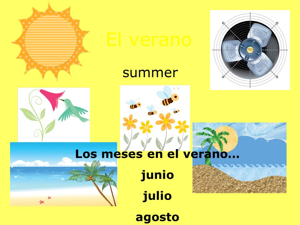 El verano summer Los meses en el verano… junio julio agosto