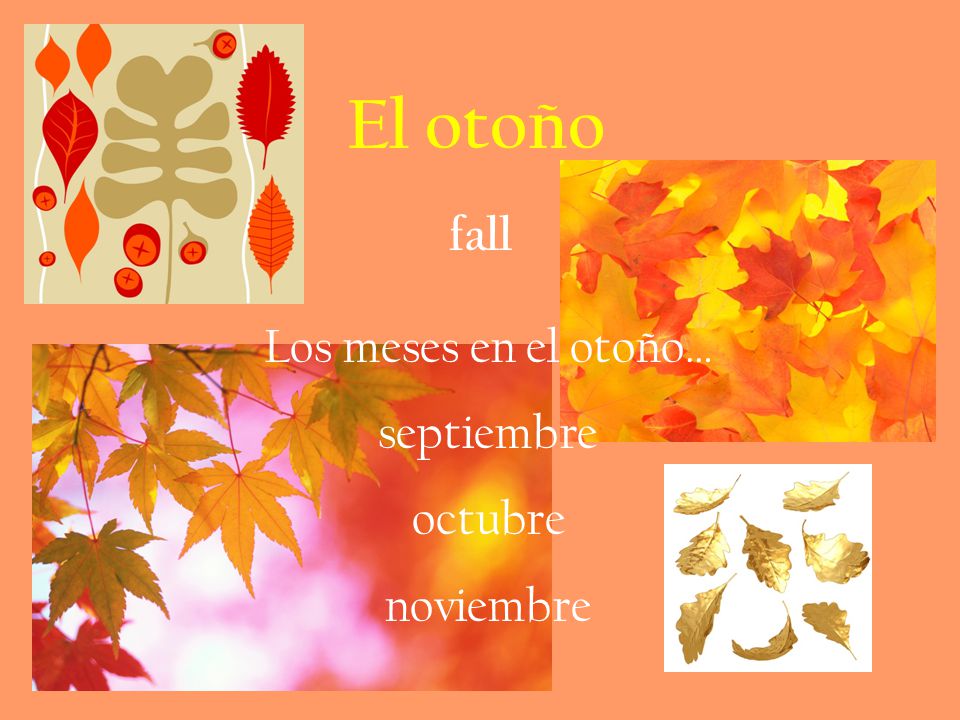 El otoño fall Los meses en el otoño… septiembre octubre noviembre