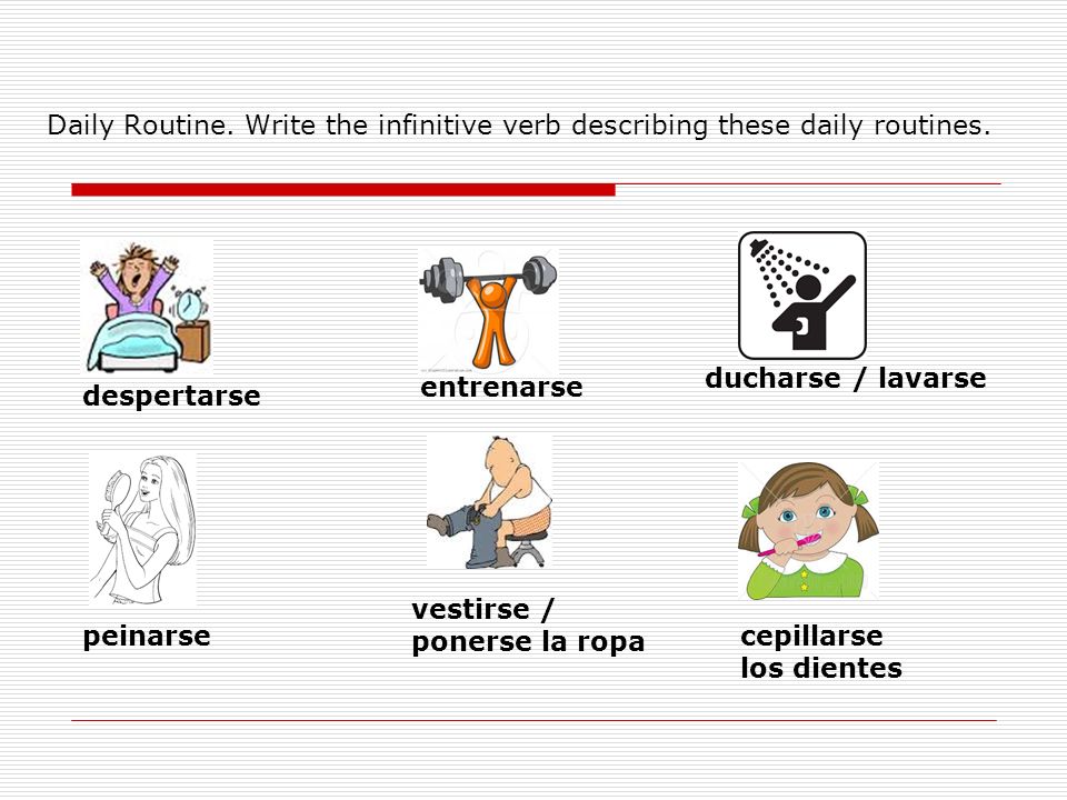 Daily Routine. Write the infinitive verb describing these daily routines.