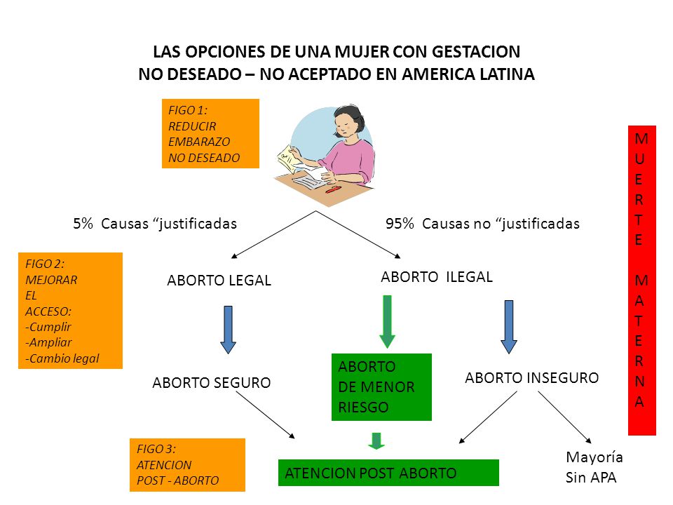 LAS OPCIONES DE UNA MUJER CON GESTACION NO DESEADO – NO ACEPTADO EN AMERICA LATINA