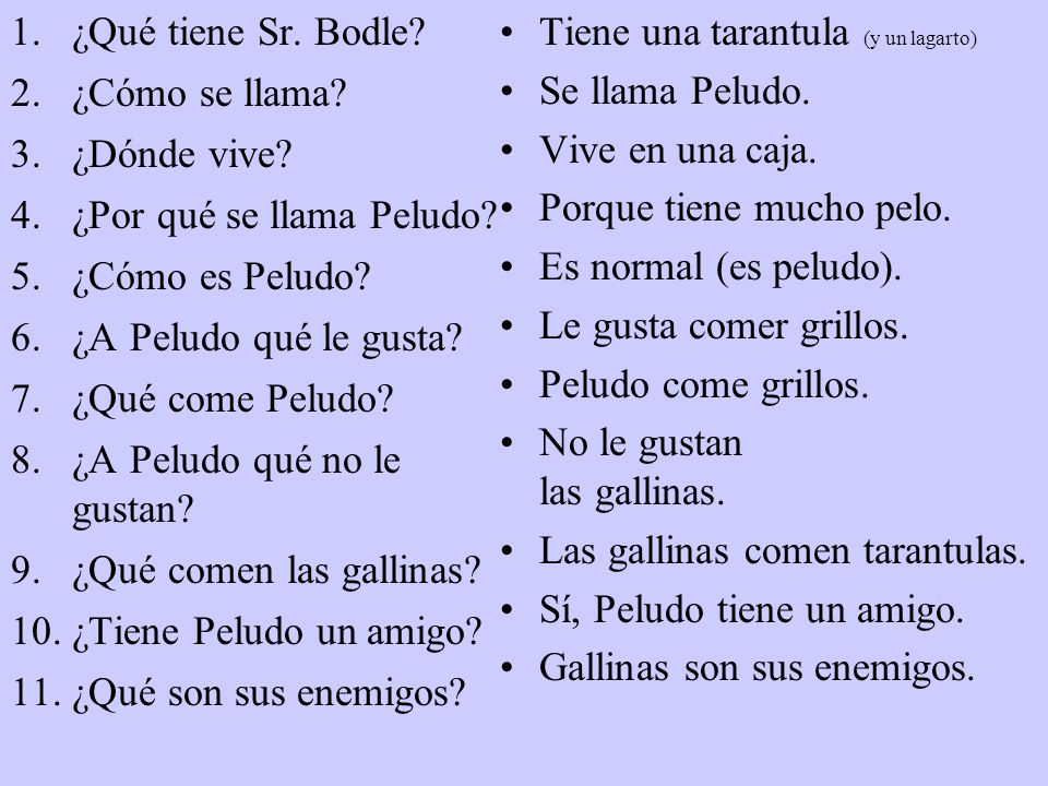¿Qué tiene Sr. Bodle ¿Cómo se llama ¿Dónde vive ¿Por qué se llama Peludo ¿Cómo es Peludo ¿A Peludo qué le gusta