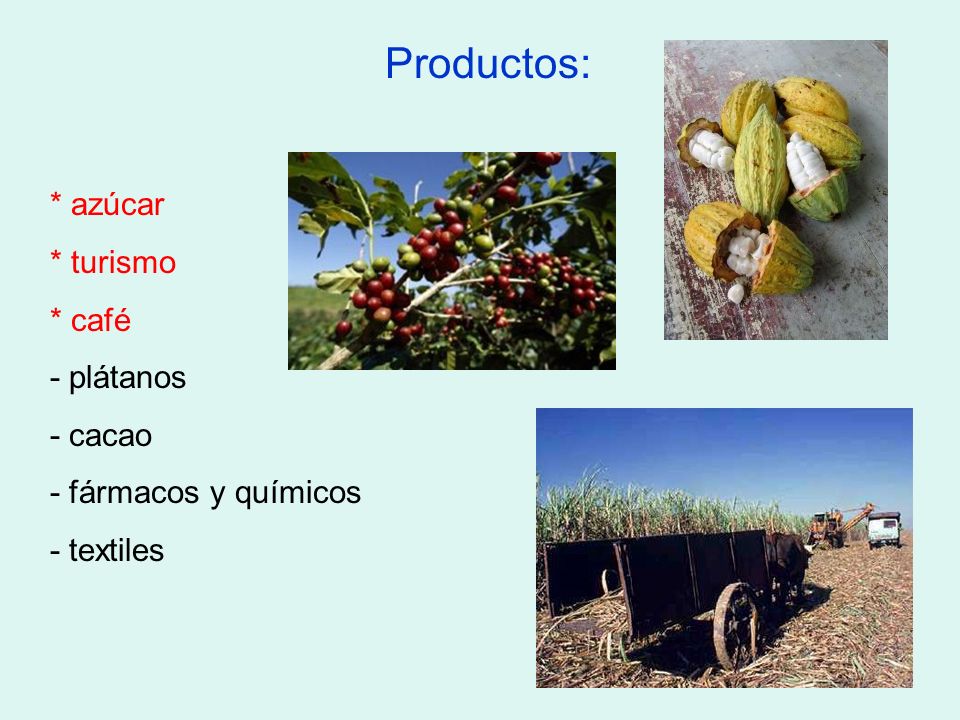 Productos: * azúcar * turismo * café - plátanos - cacao