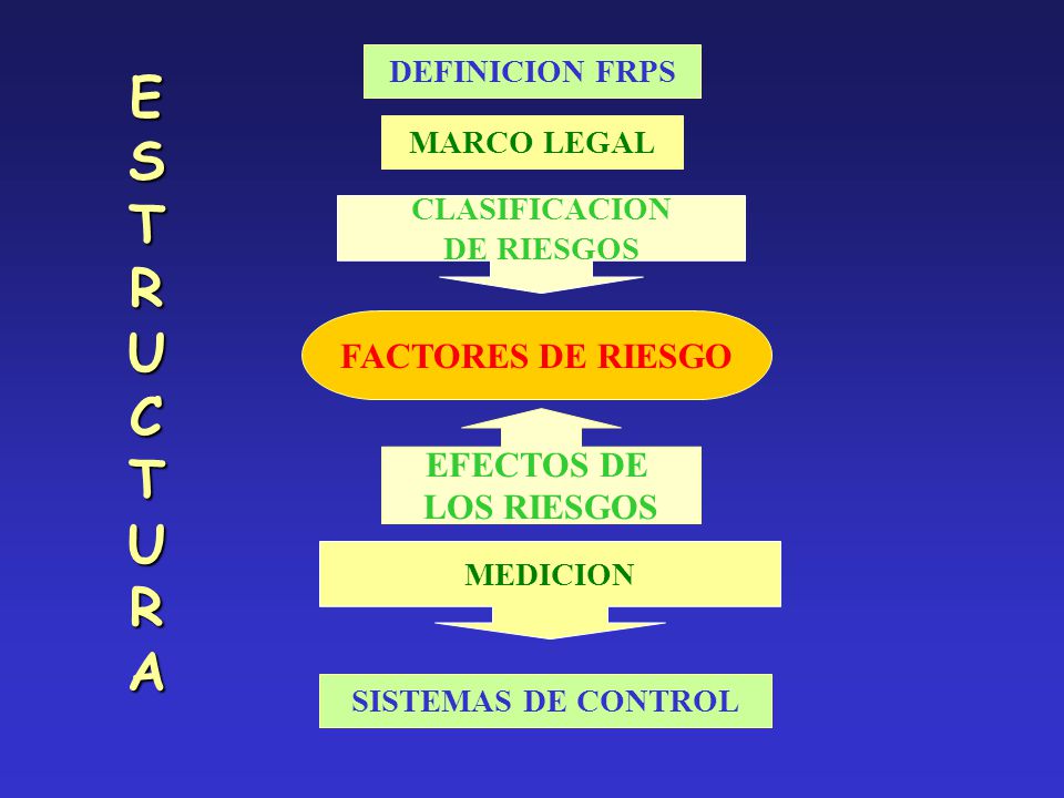 ESTRUCTURA FACTORES DE RIESGO EFECTOS DE LOS RIESGOS DEFINICION FRPS