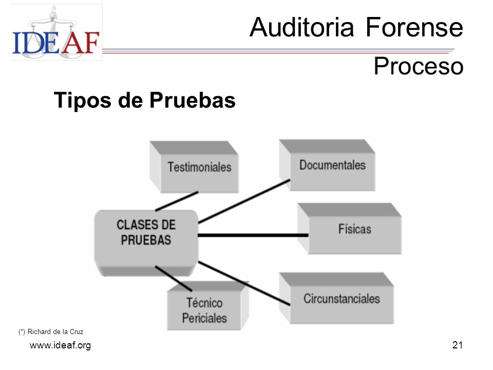 Auditoria Forense Proceso Tipos de Pruebas